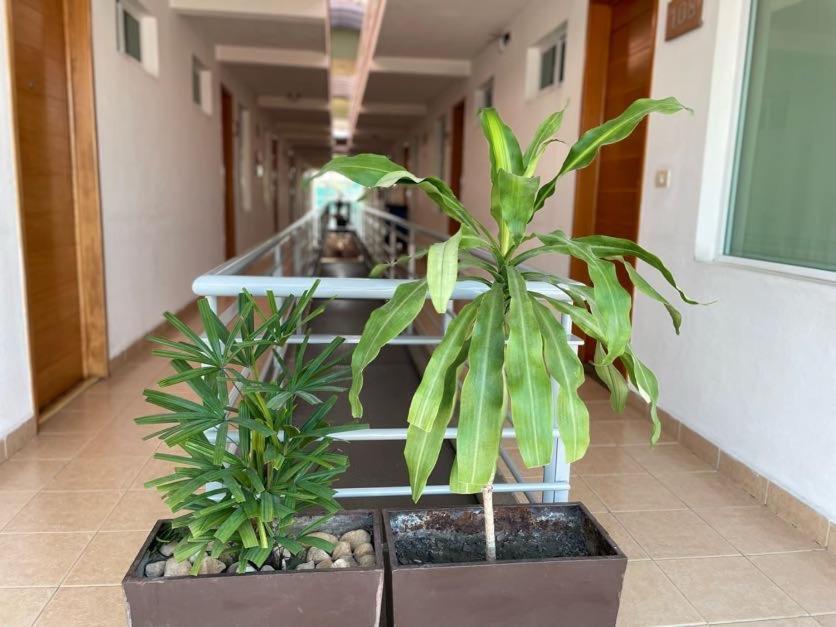 Hotel Santo Domingo Express Villahermosa Exteriör bild